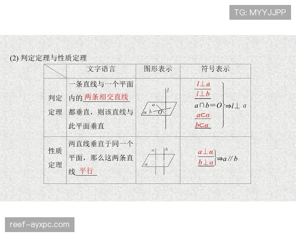 垂直起跳规则的适用场景与判定标准详细解析